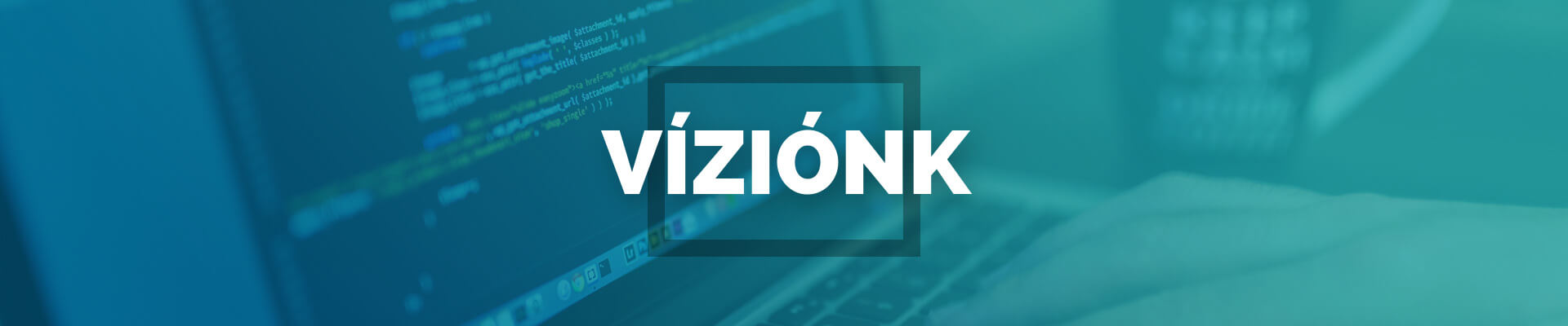 vizionk